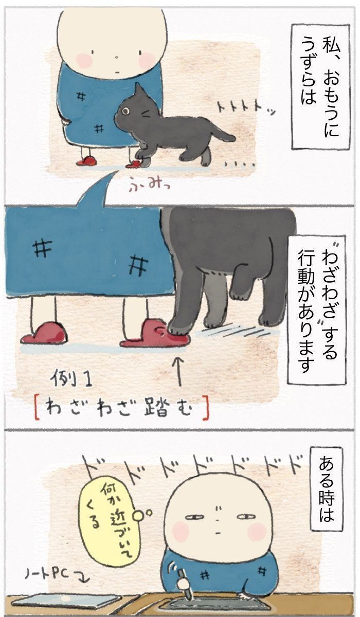 「ねこ連れ草」53話め
