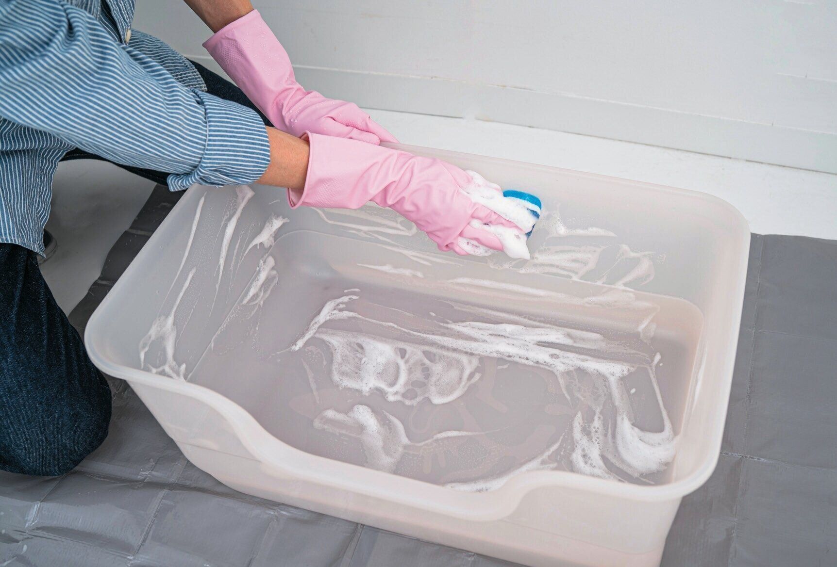 猫トイレをスポンジで洗う