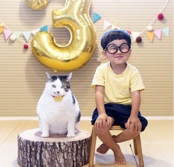 いつも一緒にいる男の子と猫