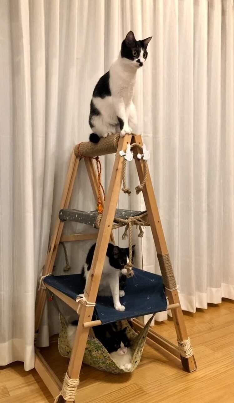 折りたためる猫タワー