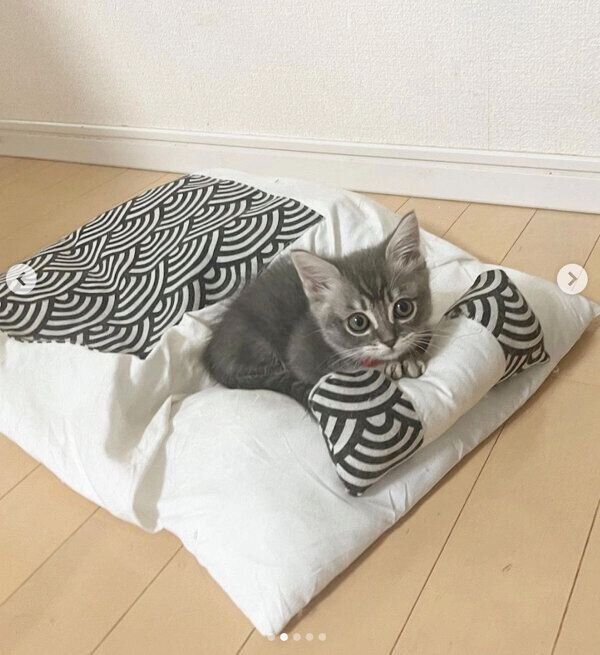 つくねくんのお布団でくつろぐみりんくん