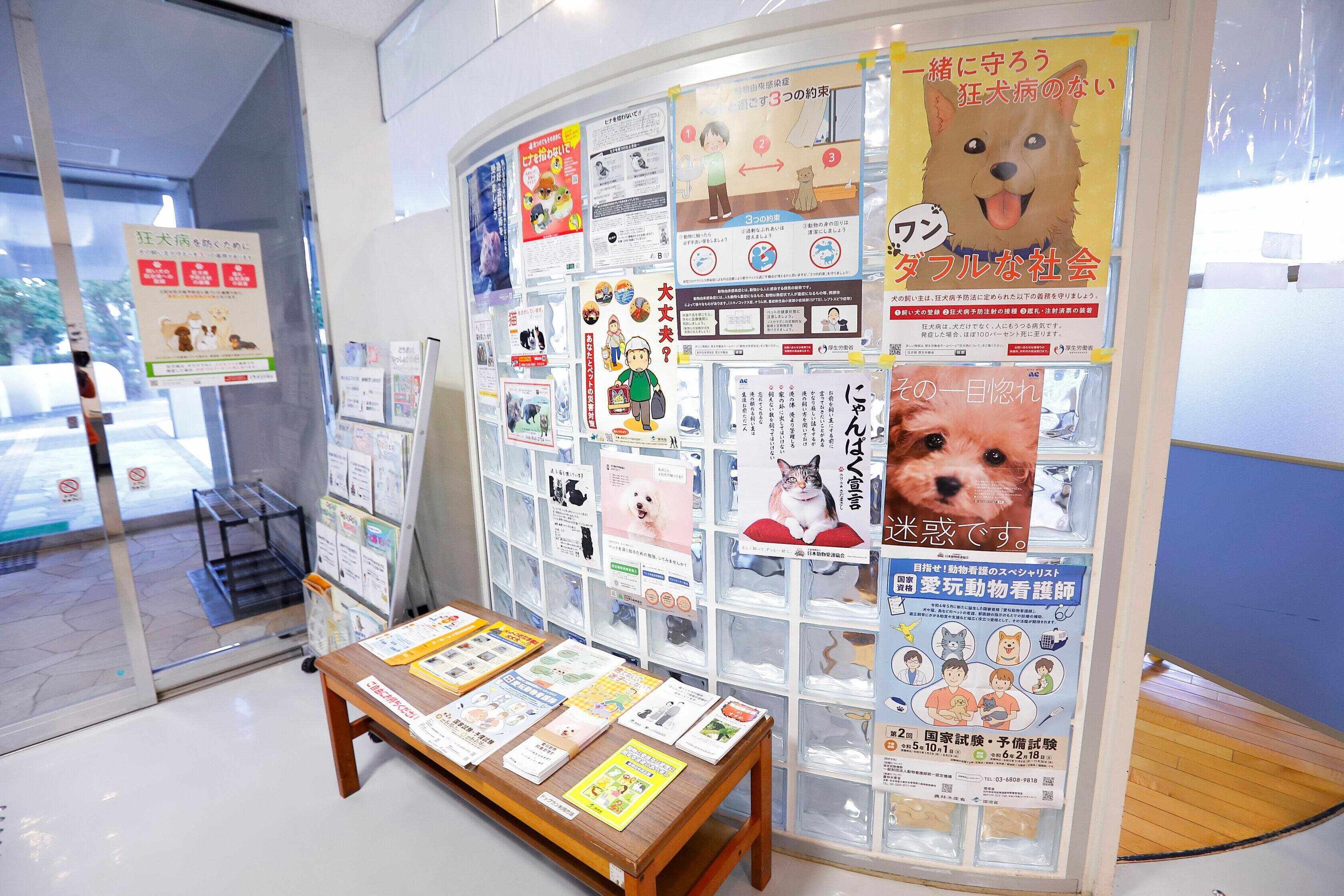 撮影／後藤さくら