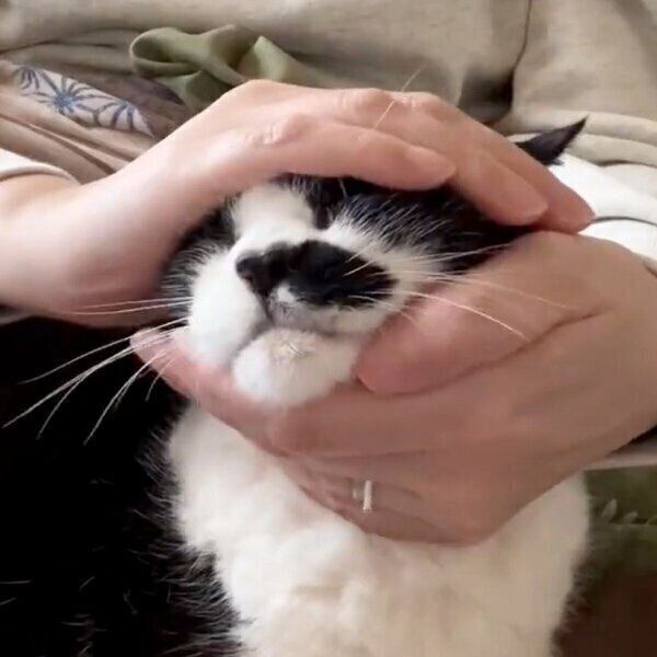 「おにぎり」に満足のドツちゃん