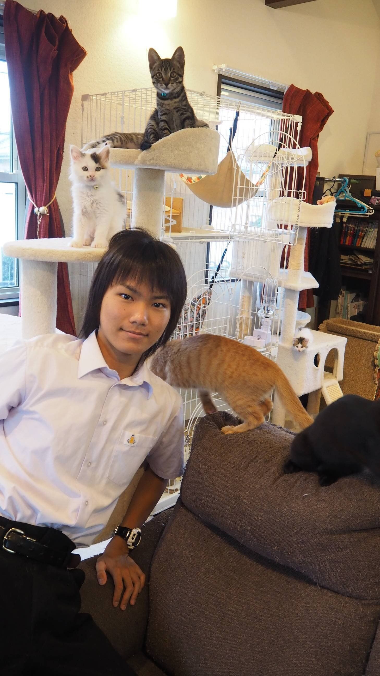 写真提供／子猫園ベルソーデシャトンズ