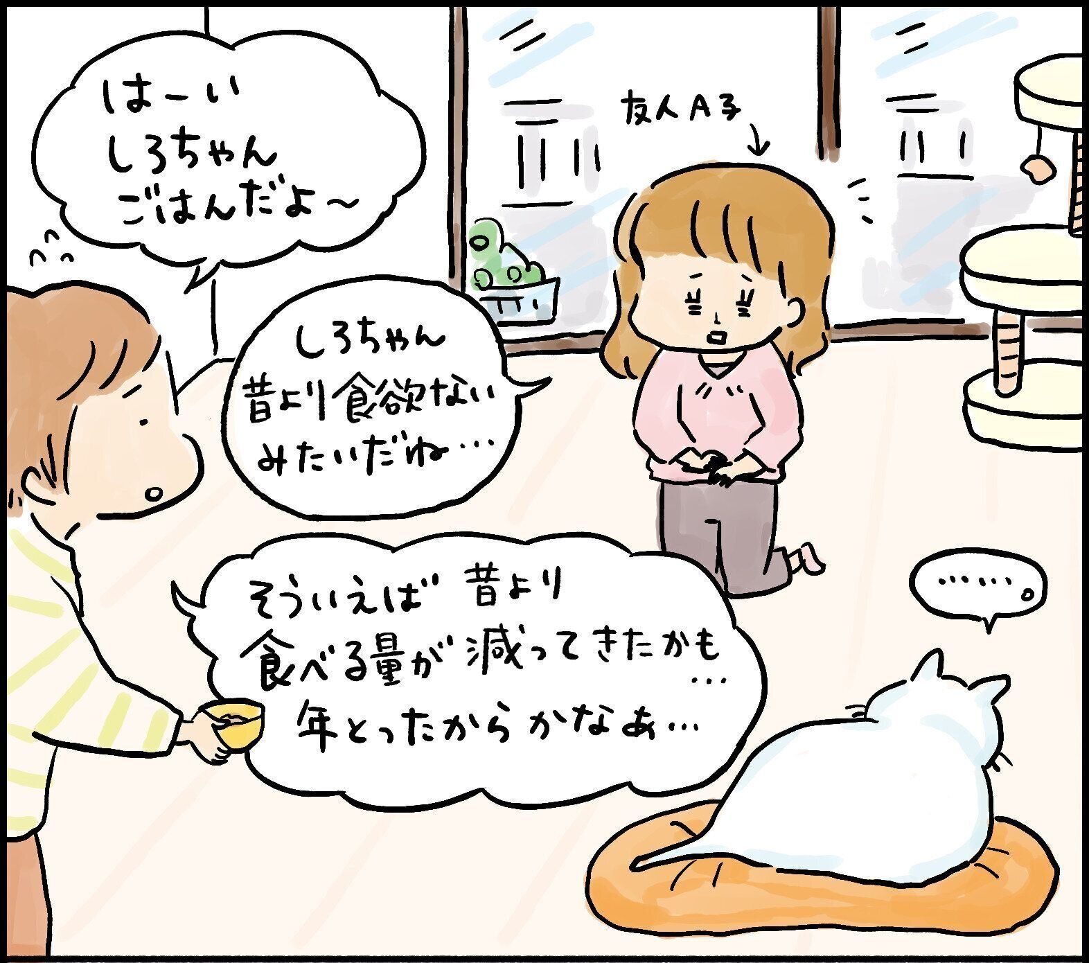 愛玩動物飼養管理士　猫　ねこ　ねこのきもち　資格　しつけ　日本愛玩動物協会　