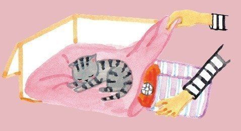 イラスト／竹脇麻衣