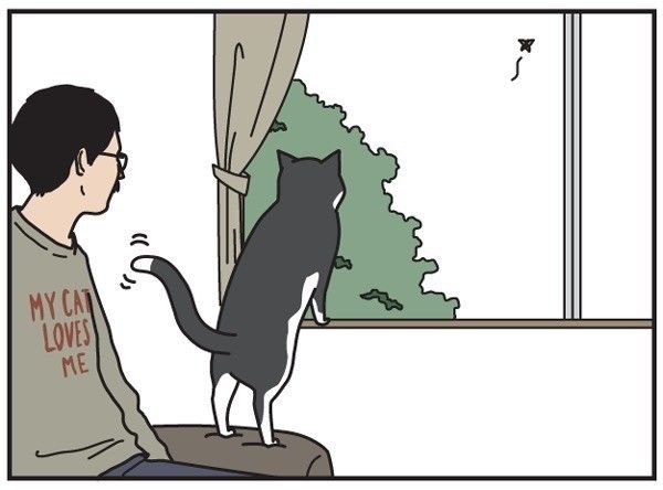 男の猫道　22話目