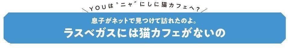 画像／ねこのきもち2018年11月号