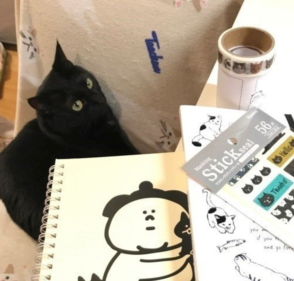 100均の猫文具が可愛すぎる件 ねこのきもちweb Magazine 100均の猫文具が可愛すぎる件 ねこのきもちweb Magazine