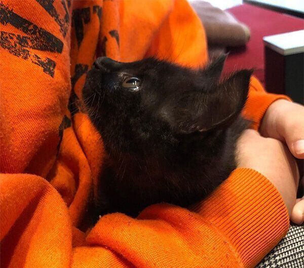 抱っこされるもちちゃん