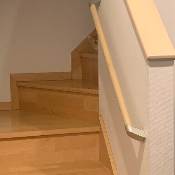 ミヌエットのきなこくん