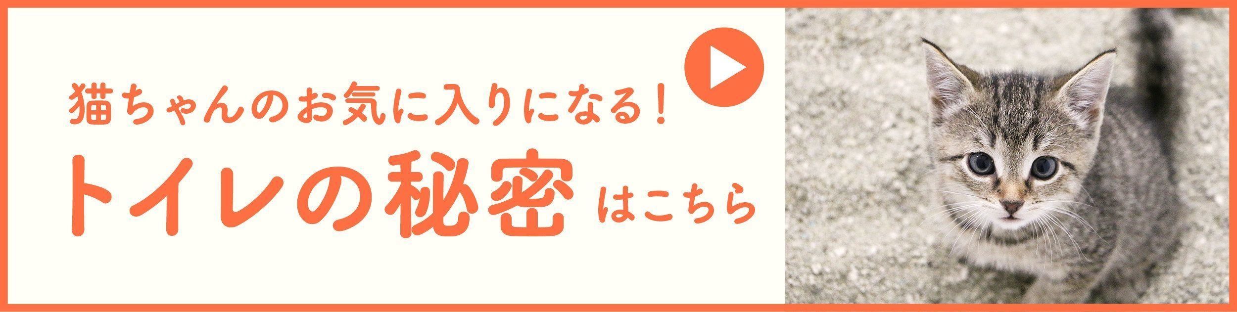 猫ちゃんのお気に入りになる!トイレの秘密はこちら01