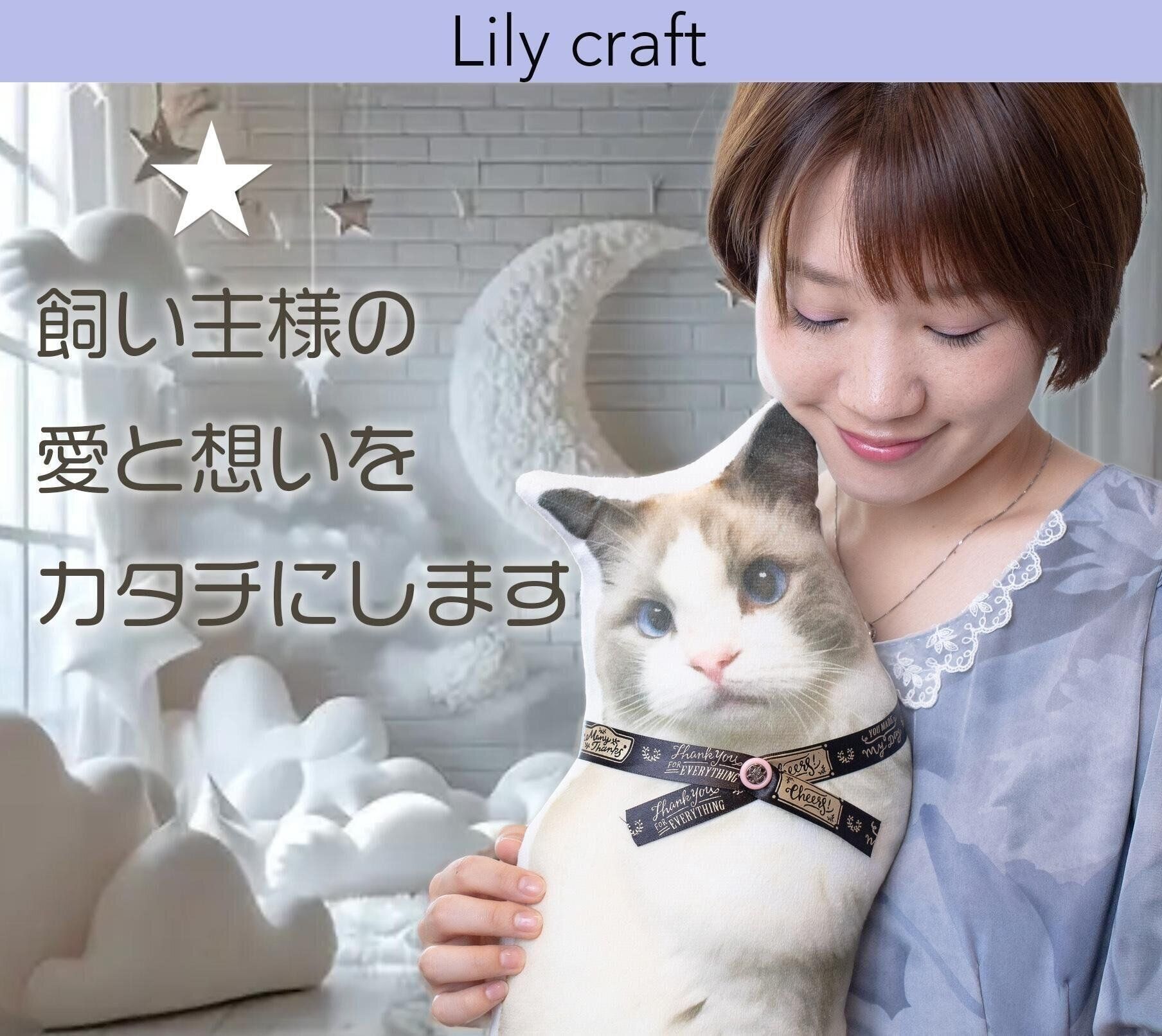 Lilycraft作品