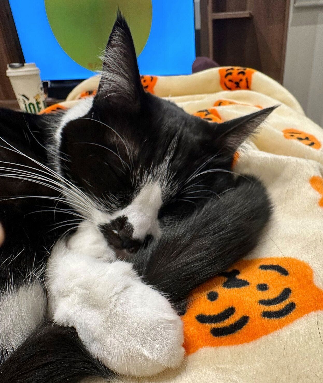 しっぽを大事そうに抱えて眠るおはぎちゃん