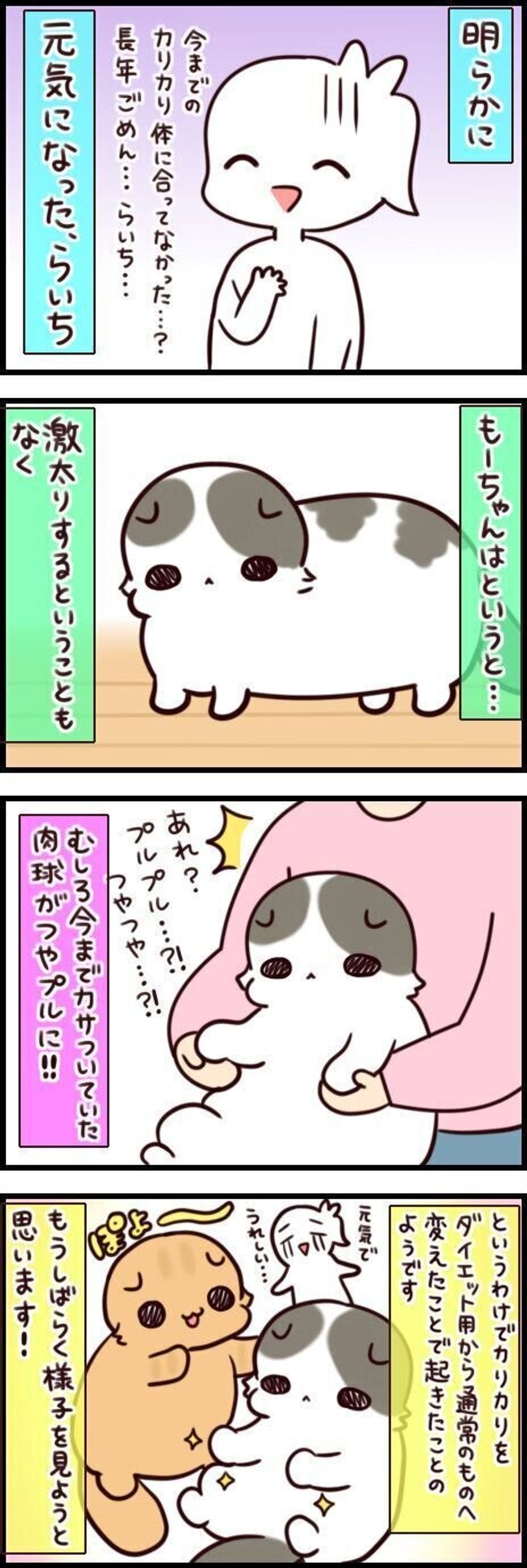 美味しいものを食べると元気いっぱいになるのは猫も人もいっしょ 連載 もふもふスコたん 216 ねこのきもちweb Magazine 美味しいものを食べると元気いっぱいになるのは猫も人もいっしょ 連載 もふもふスコたん 216 ねこのきもちweb Magazine