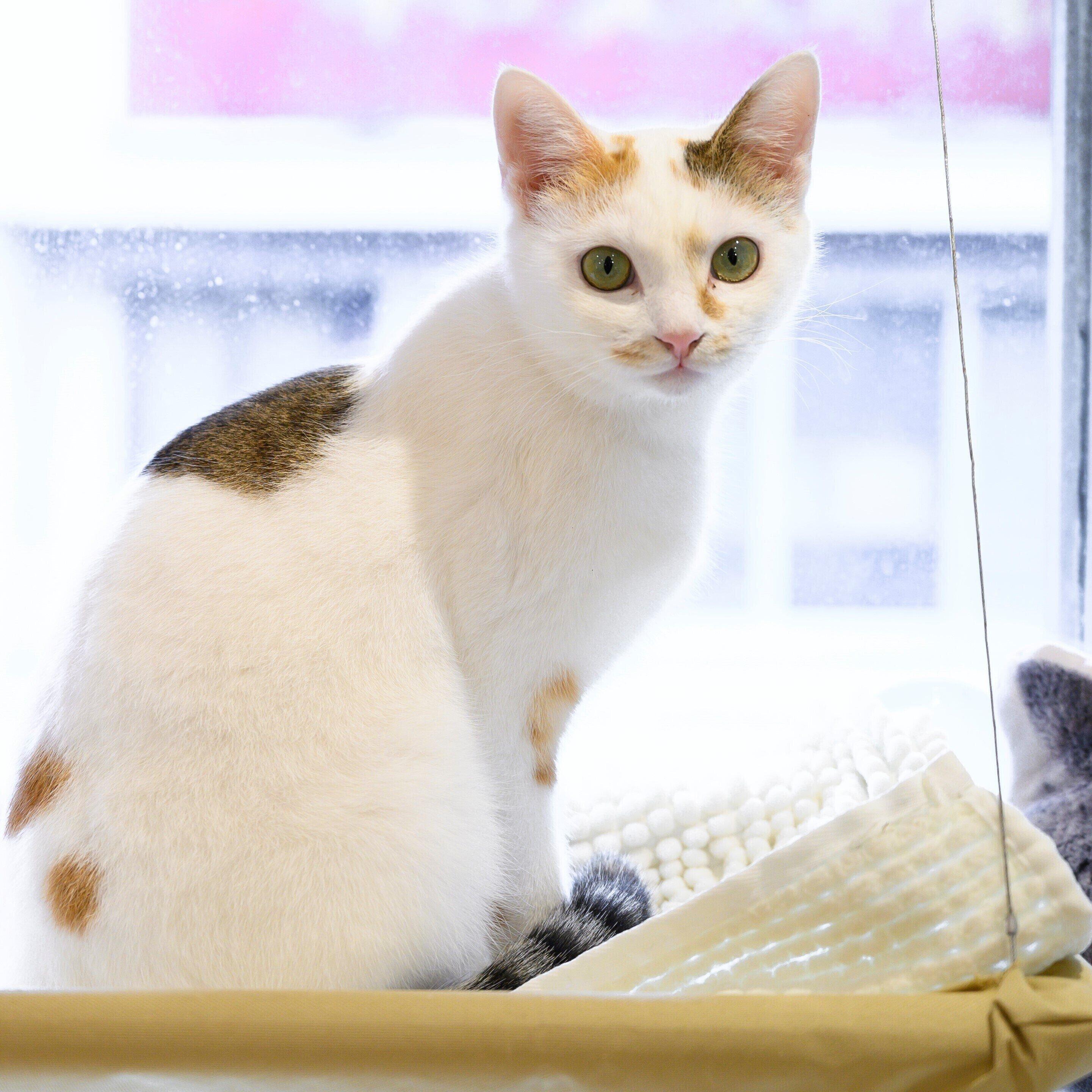 撮影／中川文作