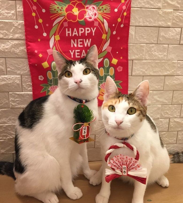 みつよつちゃんのお正月