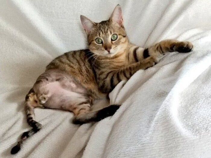 保護当初、くつろぐけいくん