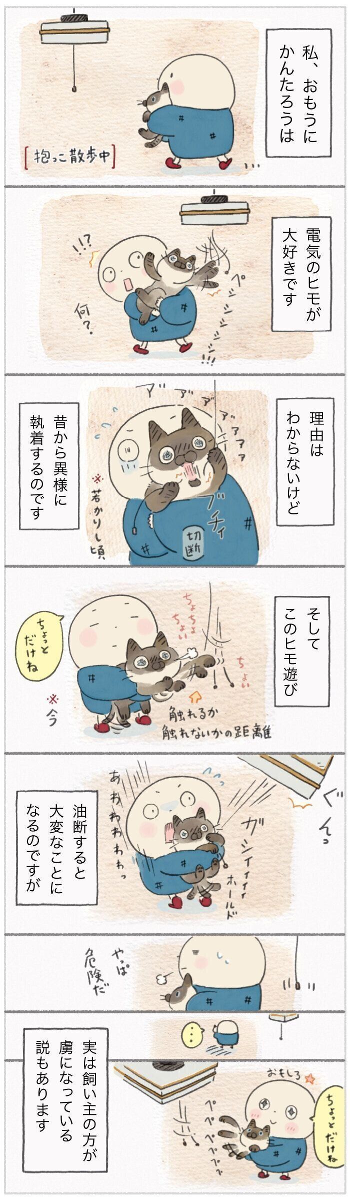 「ねこ連れ草」247話め