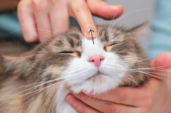 やさしくなで上げるように刺激して