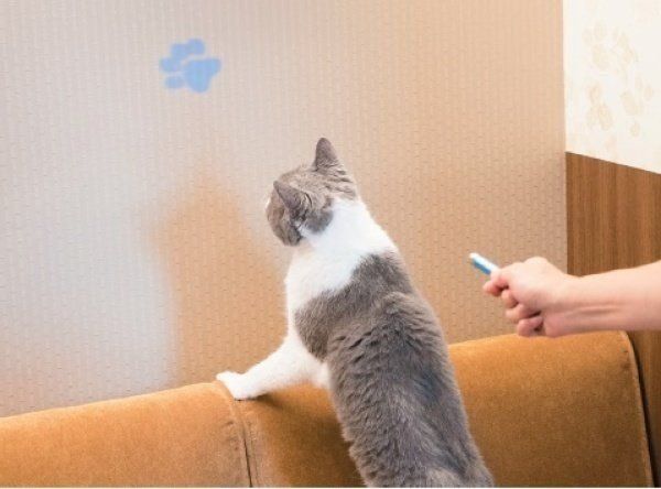 レーザー光線で激しい運動を