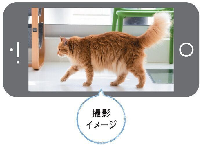 歩き方の異変の撮影イメージ