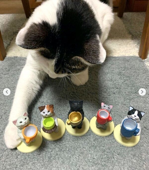 カプセルトイ「花房さくらのくださいの像」