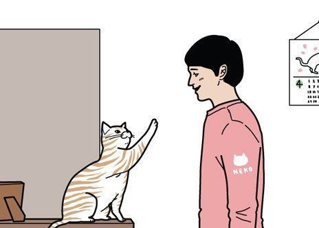 男の猫道 サムネイル