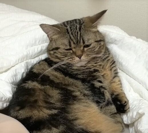 眠すぎるメルちゃん