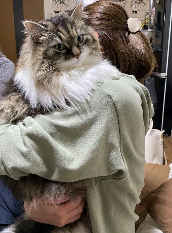 飼い主さんに抱っこされる小次郎くん