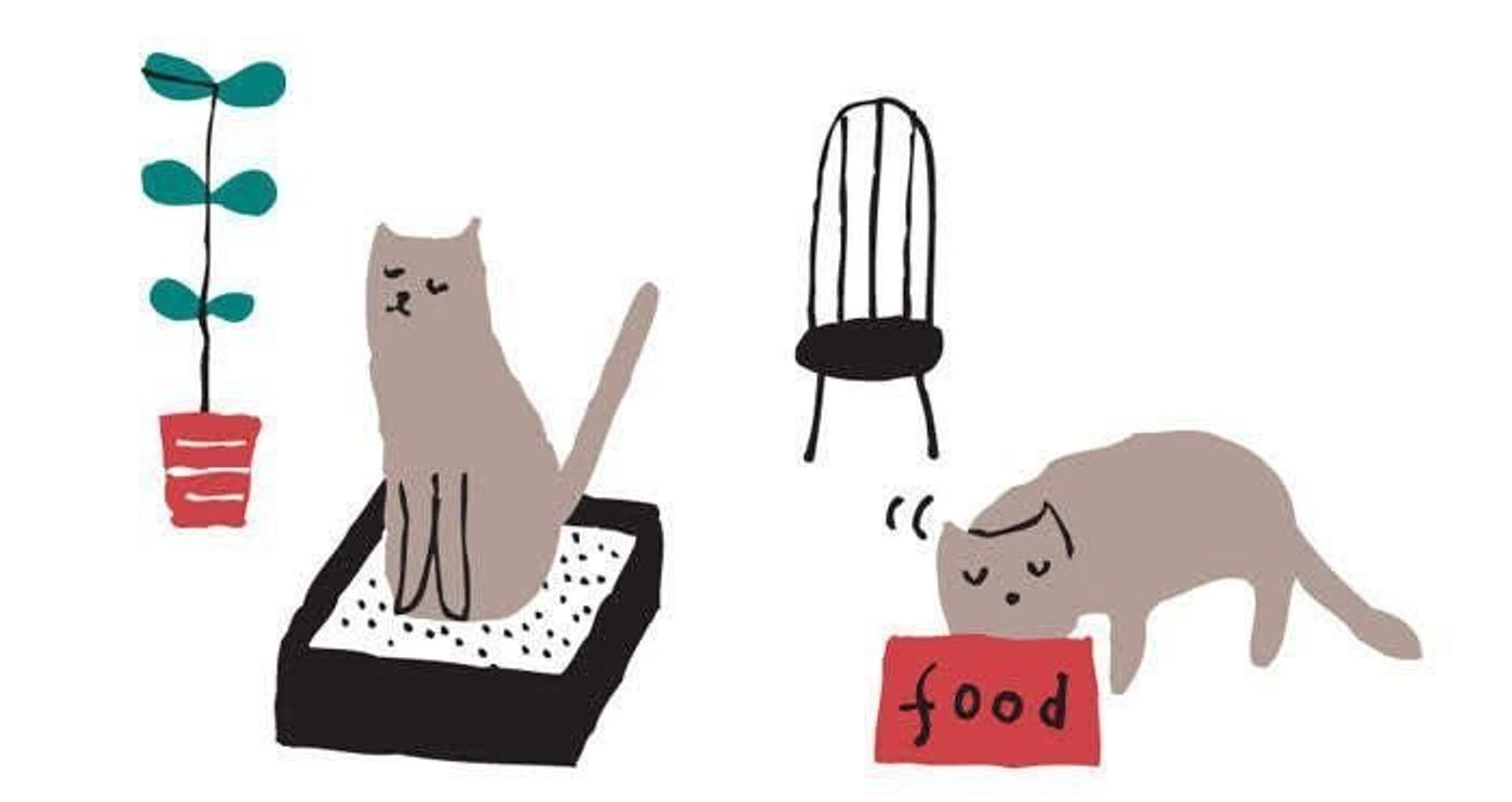 猫が気楽に過ごせる 一匹飼い のメリット デメリット対策も ねこのきもちweb Magazine 猫が気楽に過ごせる 一匹飼い のメリット デメリット対策も ねこのきもちweb Magazine