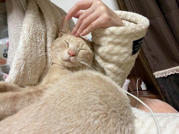 甘えるダニエルくん