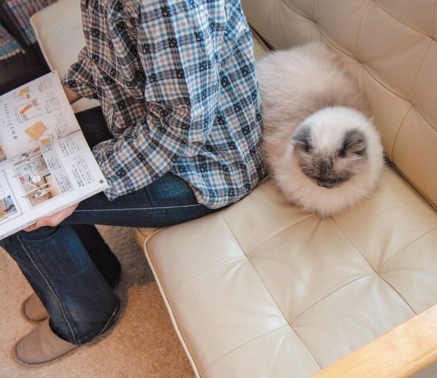 撮影／Akimasa Harada