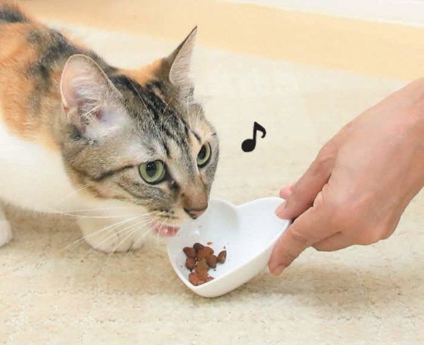 「ネズミ狩りトンネル潜り」の遊び方