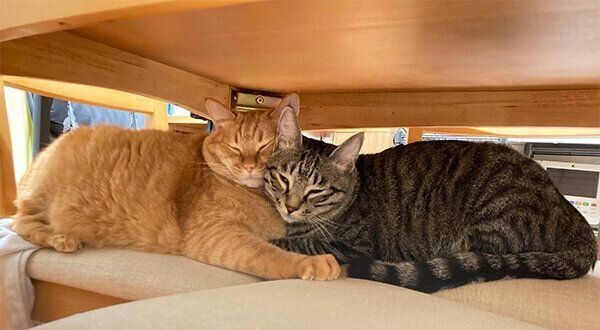 抱き合うすずくん、つむぎくん