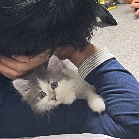 MIX　グレー　ぽぽ