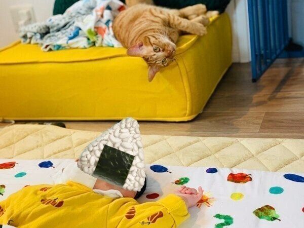 息子くんに近づきたいぎがくん