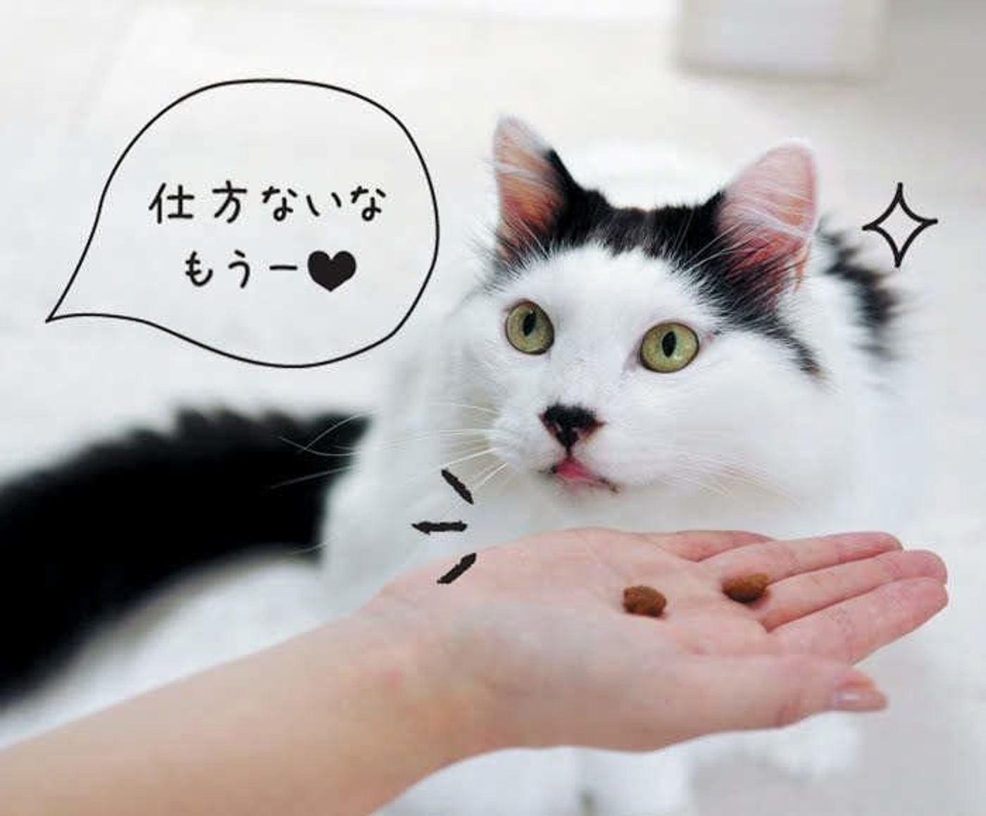 知ってる 人には聞こえない猫の 無音鳴き ねこのきもちweb Magazine