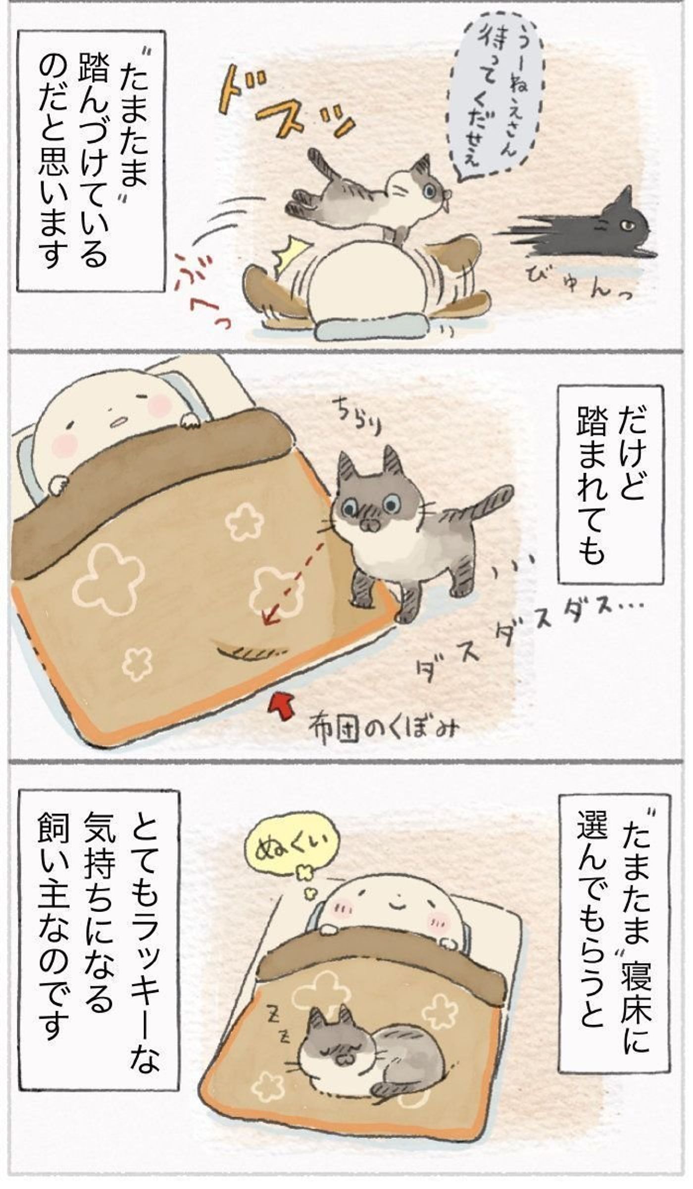 通りすがりに たまたま 乗り上げるのはわざと ただの通り道 ねこ連れ草 54話め ねこのきもちweb Magazine 通りすがりに たまたま 乗り上げるのはわざと ただの通り道 ねこ連れ草 54話め ねこのきもちweb Magazine