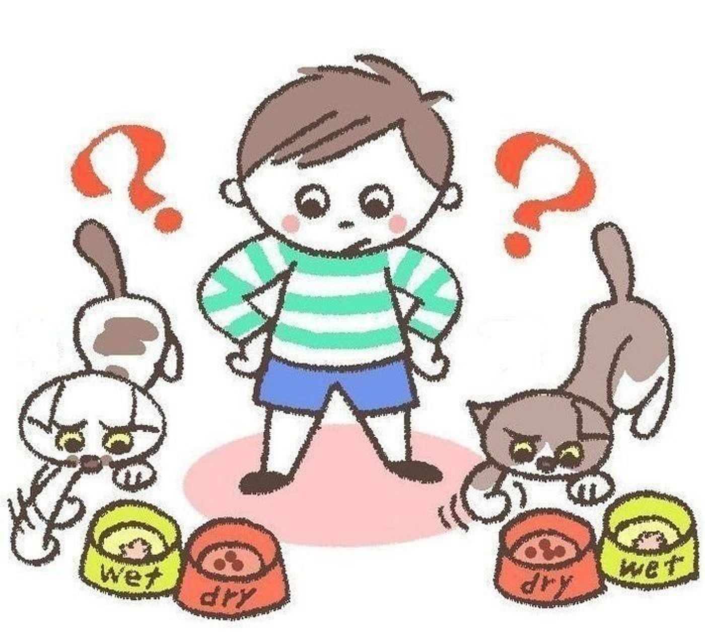 嫌いなの ゴハンに砂をかけるマネをする猫の心理 ねこのきもちweb Magazine