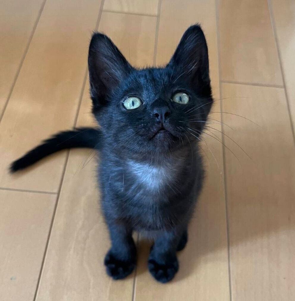 生後2カ月ごろに撮影したサラミくん