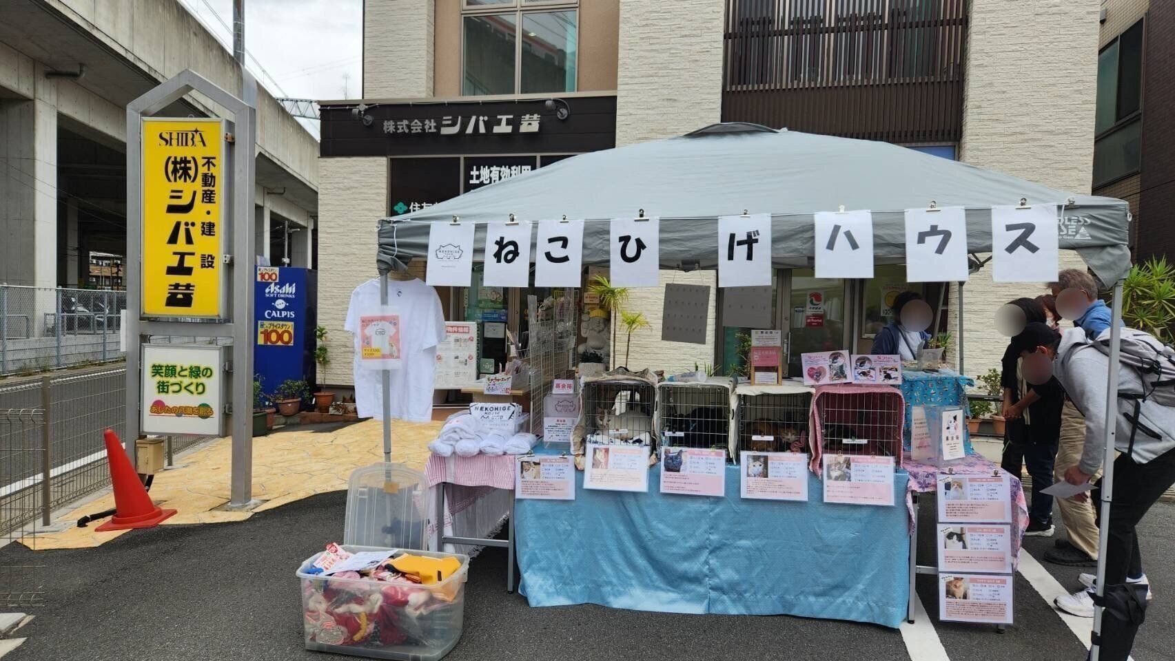 写真提供／ねこひげハウス