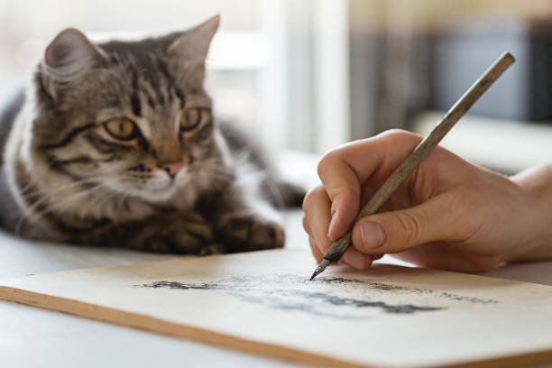 グラフィックを描く万年筆で女性の手のクローズアップ。