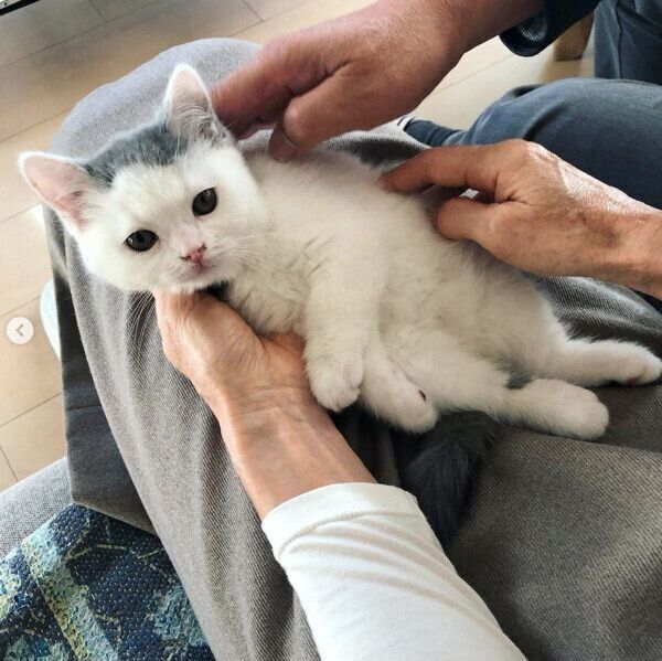 飼い主さんのご両親に身を預けるカツヲくん