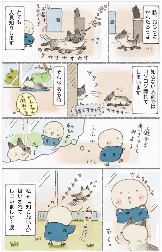 「ねこ連れ草」19話目