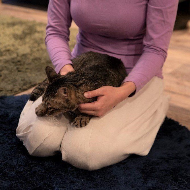 撮影／中川文作