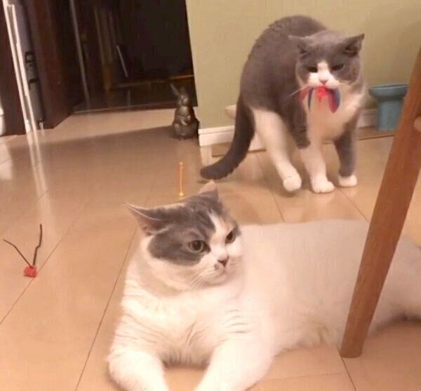 「もじもじウォーク」をするドラ千代くん