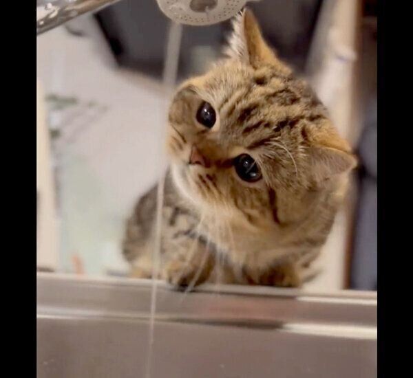 水を飲むチョパえもんくん