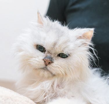 撮影／石原さくら