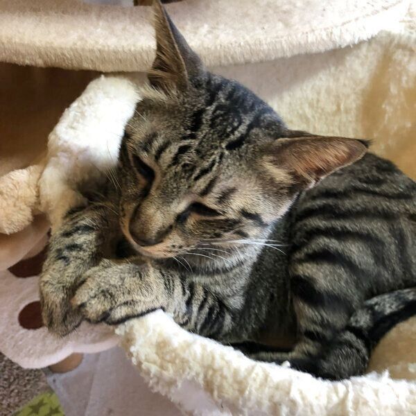 成長したなぎくん